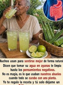 ¡Tienes Aloe Vera en Casa y NO lo Sabes! 16 Problemas de Salud Que Esta Planta Mágica Solucionará HOY