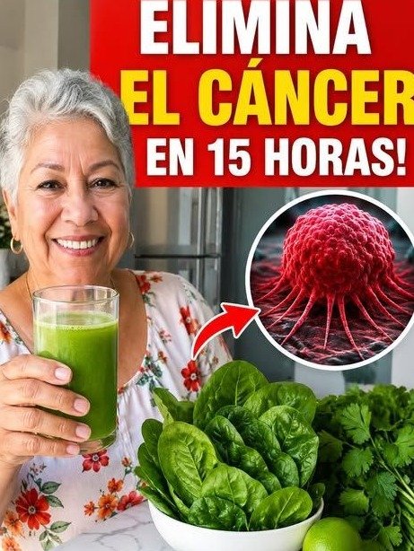 ¡NO MÁS CANSANCIO! El 'hábito verde' que está REVOLUCIONANDO la energía en adultos mayores (¡y te sentirás increíble en días!)