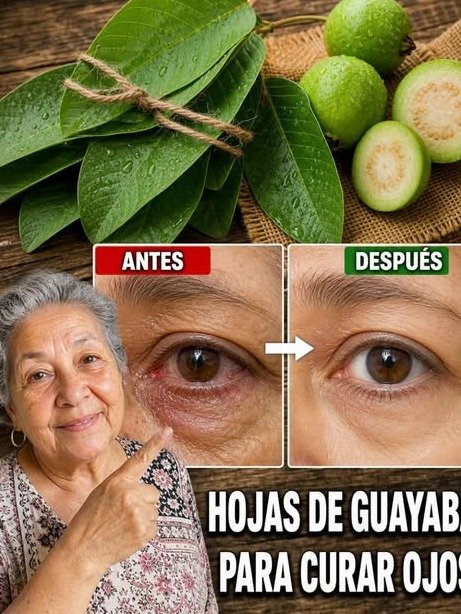 ¡El Secreto Milenario Revelado! 🤫 Descubre los 7 Poderes Ocultos de las Hojas de Guayaba que Transformarán tu Salud (¡Tu Abuela Tenía Razón!)