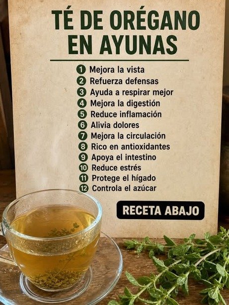 ¡El Secreto Mejor Guardado de tu Cocina! 🌿 Descubre los +20 Beneficios del Orégano que DEBES Conocer Antes de que sea Tarde