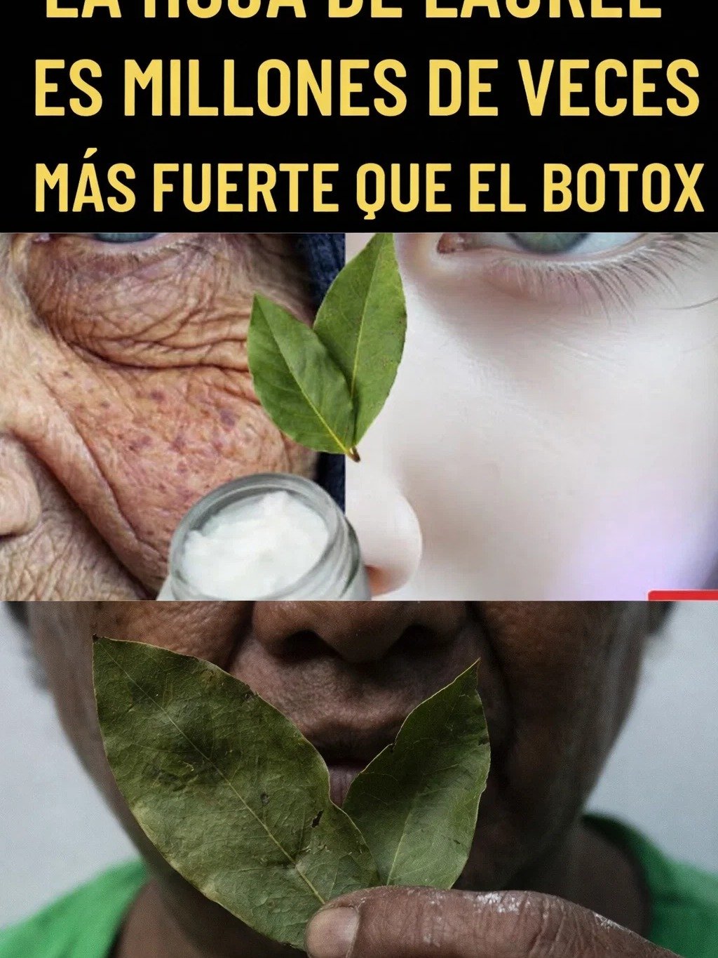 ¡El Secreto Olvidado! Esta HOJA Común Borra Años de Tu Piel y Te Deja Sin Arrugas (Adiós Bótox)
