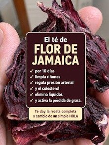 ¡Desbloquea el Poder Oculto! La Flor de Jamaica que Tu Cuerpo Te Pide a Gritos para Riñones Sanos, Presión Perfecta y Perder Peso RÁPIDO