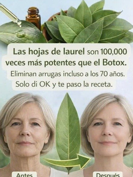 ¡Alerta Anti-Edad! La Hoja de Laurel Esconde el Poder Secreto Para Borrar Tus Arrugas (¡Más Efectivo Que Cualquier Crema Cara!)