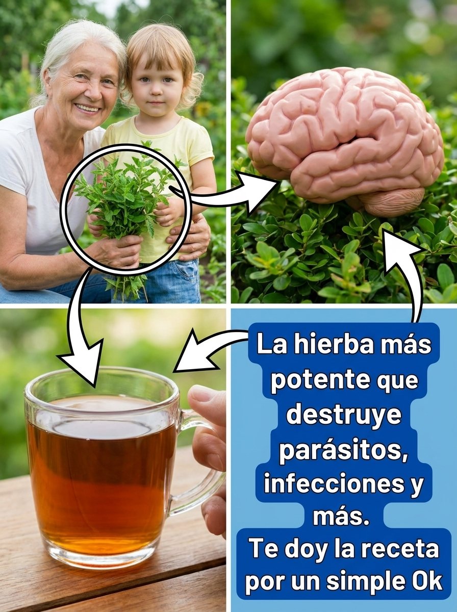 ¡Tu Cocina Esconde un Tesoro para tus Ojos! Descubre Cómo el Orégano Podría SALVAR tu Vista del Daño Digital y el Envejecimiento