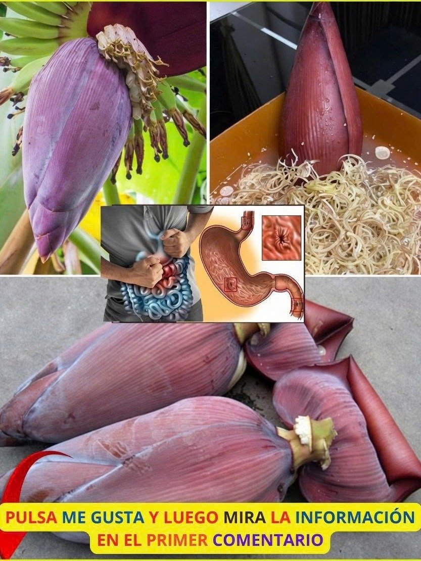 ¡No lo creerás! La Flor de Plátano es el ingrediente secreto que tu bienestar estaba esperando (y es 100% natural)