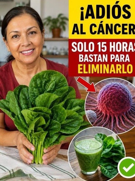 El Secreto Energético de la Espinaca que Millones de Adultos Mayores Están Descubriendo ¡DEMASIADO TARDE!