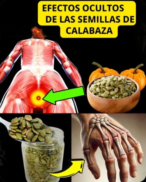 ¡Alerta Hombres Mayores de 40! Tu Próstata Te Lo Pide a Gritos: El Remedio Natural con Semillas de Calabaza que DEBES Conocer (¡Con Recetas Sorprendentes!)