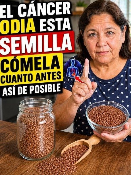 ¡Desafía la Edad! La PEQUEÑA Semilla que Está REVOLUCIONANDO la Energía y Salud de Miles de Adultos Mayores de 60 en México (Tu Médico Querrá Saberlo)