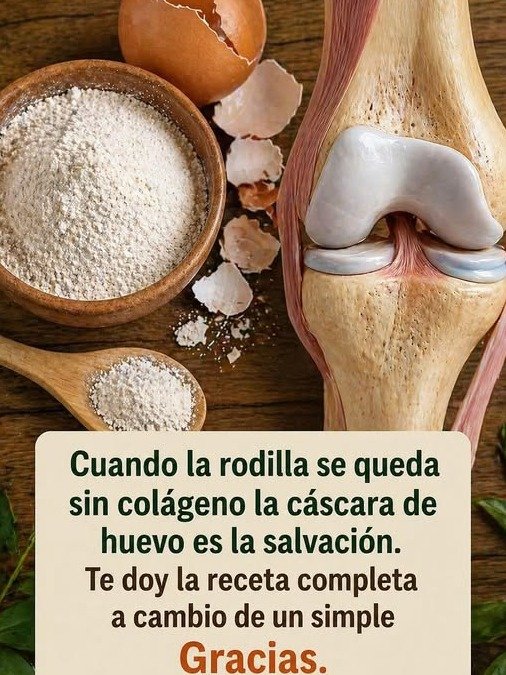 ¡Deja de Tirar Dinero! La Cáscara de Huevo Esconde el Secreto para Huesos de Acero (y 5 Errores que Debes Evitar)