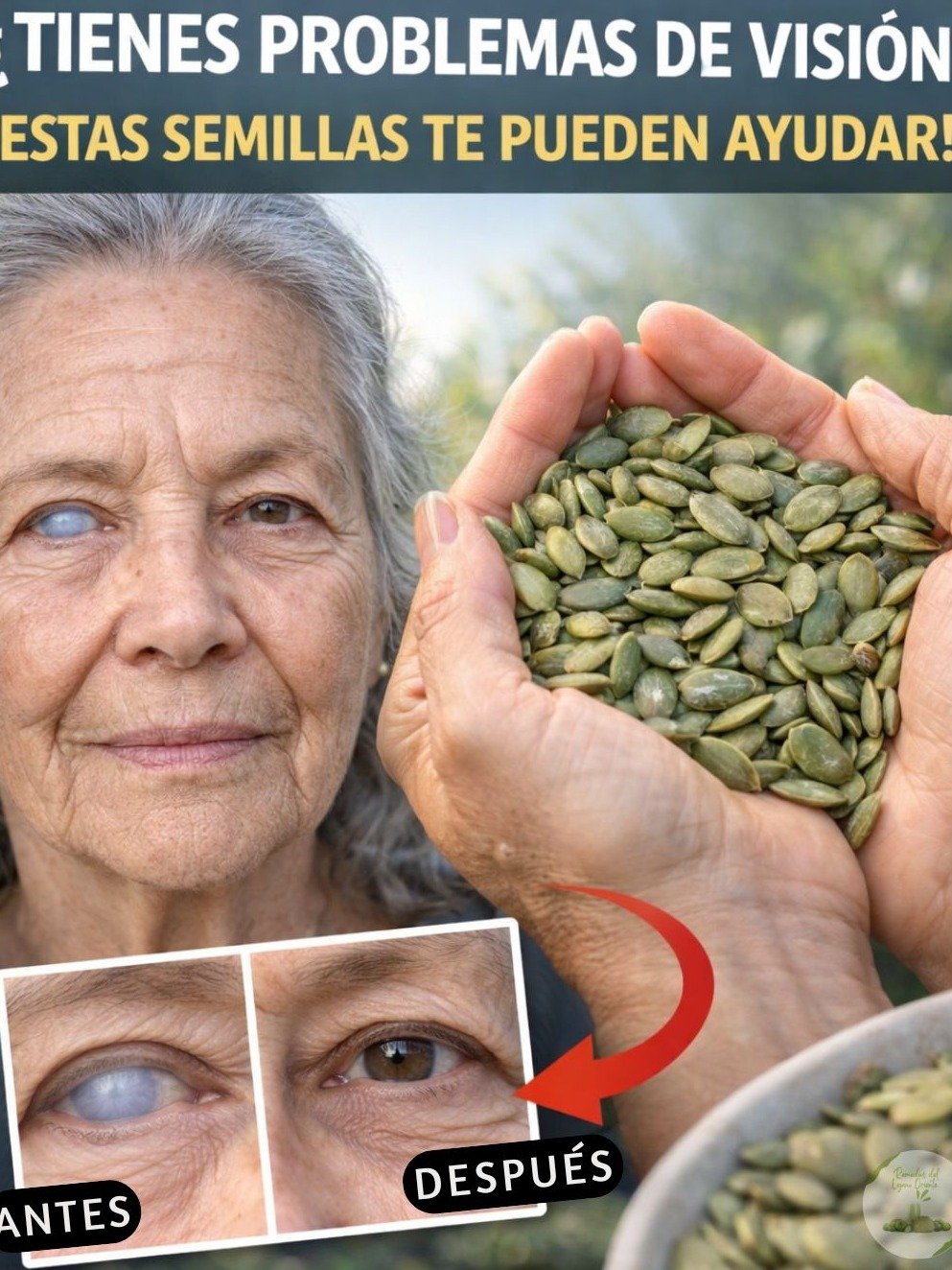 ¡Alerta! Si Tienes Más de 40, Esta Semilla ESENCIAL Puede SALVAR Tu Vista y Proteger Tu Retina (El Secreto #1 que Nadie Te Cuenta)