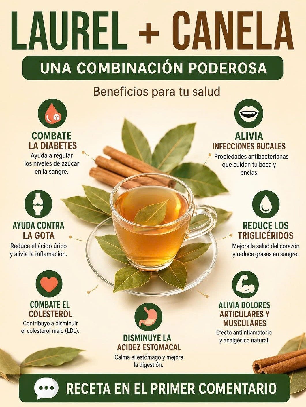 El Secreto Olvidado: Más de 20 Beneficios del Té de Laurel que Transformarán Tu Salud en Solo 7 Días
