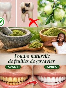 ¡Alerta! ¿Caries Que Te Roban la Sonrisa? Descubre los 3 Secretos de la Hoja de Guayaba que NUNCA te Contaron para un Alivio Inmediato y Natural.