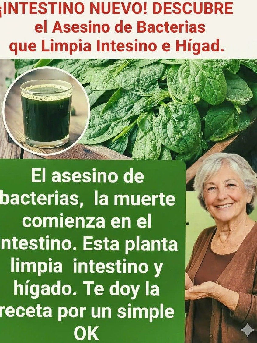 La Planta SECRETA que Tu Hígado e Intestinos Imploran: ¡Adiós Hinchazón y Cansancio Crónico!