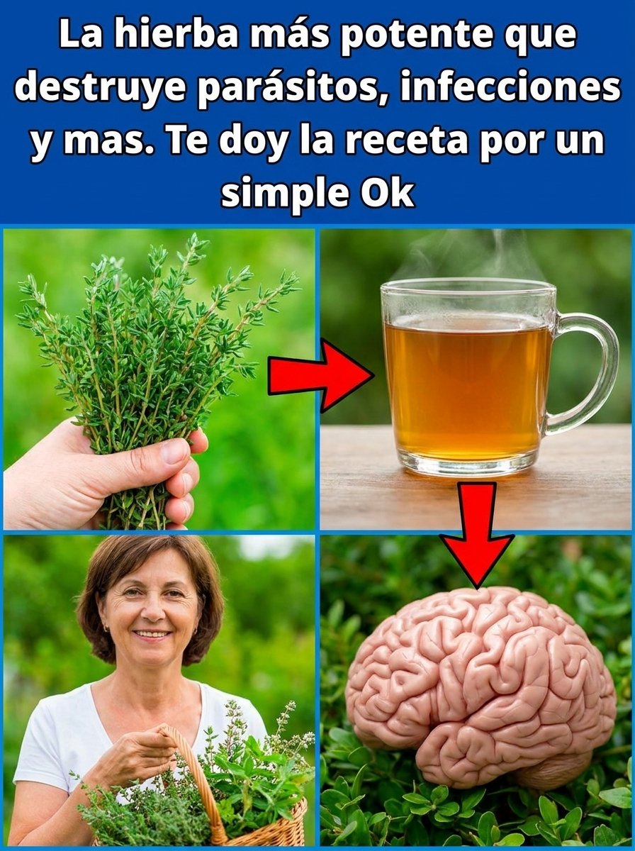El Secreto Mejor Guardado de la Naturaleza: ¡Esta Planta Milenaria Puede REVOLUCIONAR Tu Salud y Nadie Te lo Contó!