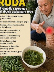 ¡Adiós al Dolor! La Ruda: El Remedio Ancestral que Transforma Articulaciones y Músculos en Días (¡Comprobado!)