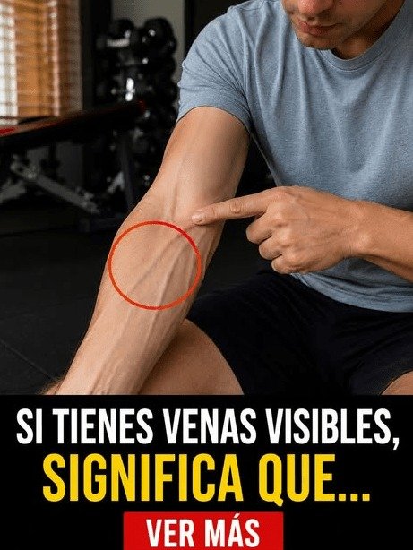 ¡Alerta Roja o Secreto de Salud! Lo que tus Venas Visibles en los Brazos REALMENTE Revelan (y el Truco Ancestral que las Transformará)
