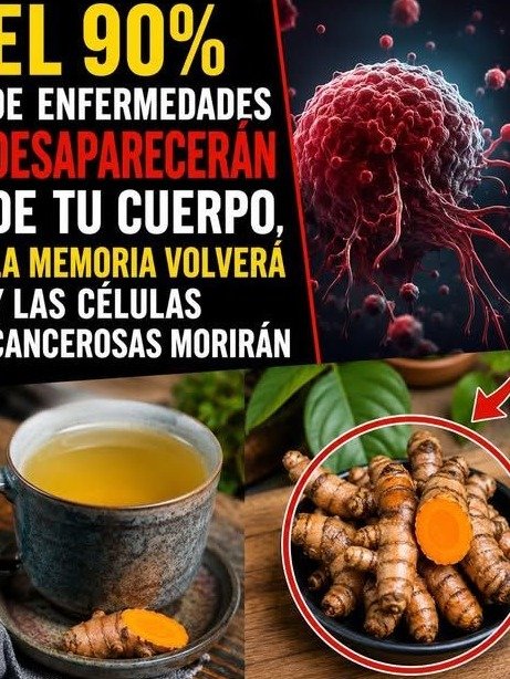 ¡Adiós a la Pesadez Post-Comida! El SECRETO Japonés que Miles Están Usando para una Digestión LIGERA y Diaria (y el error que debes evitar)