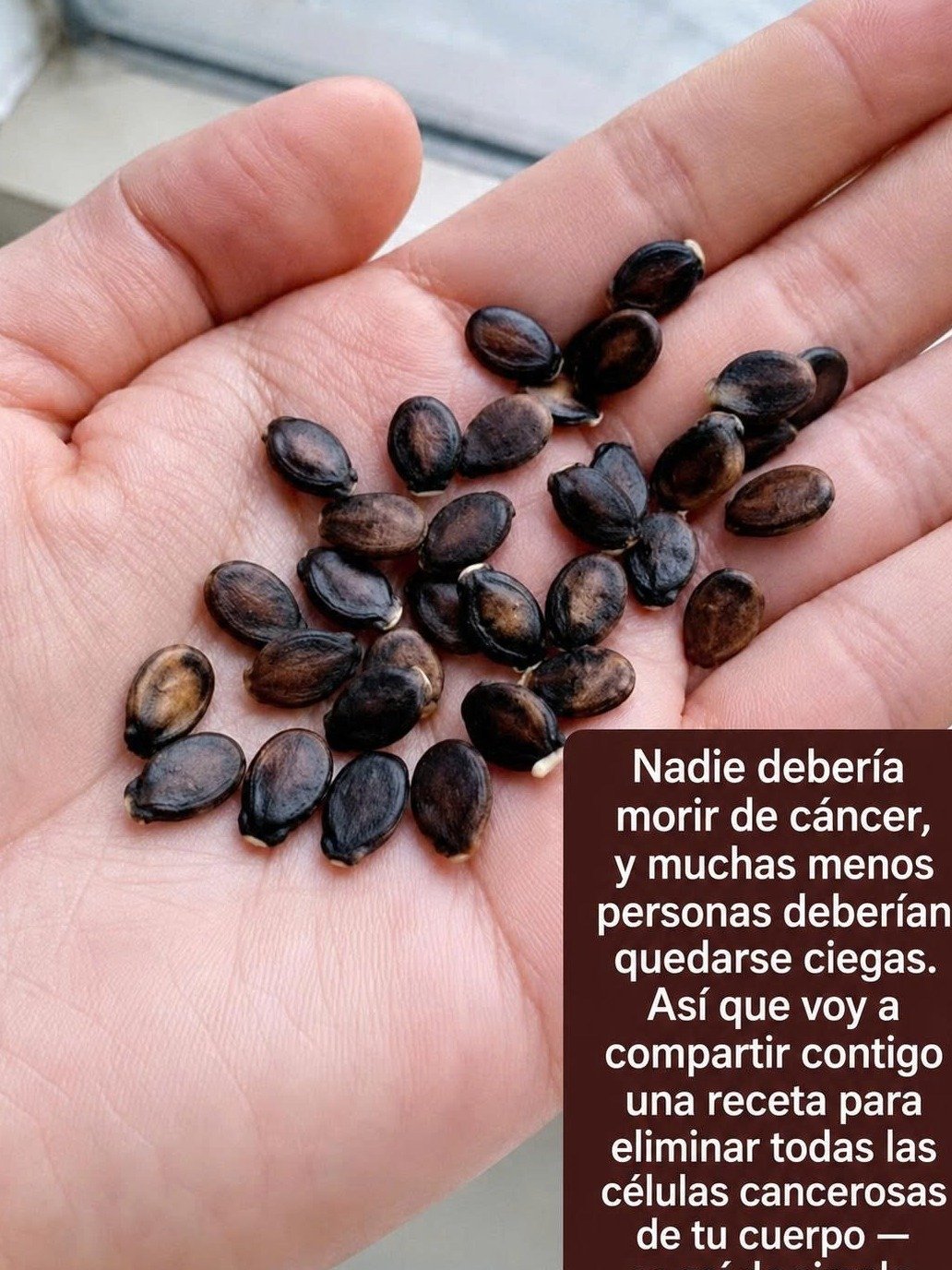 ¡Alerta Roja! ¿Las semillas de manzana realmente CURAN el cáncer o esconden un PELIGRO mortal? La ciencia DESENMASCARA el mito