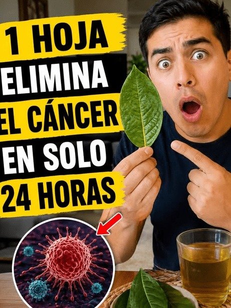 ¡ALERTA URGENTE! La 'Hoja Milagrosa' que miles de adultos en México están usando... ¿Es un Fraude Mortal? Lo que NADIE te cuenta.