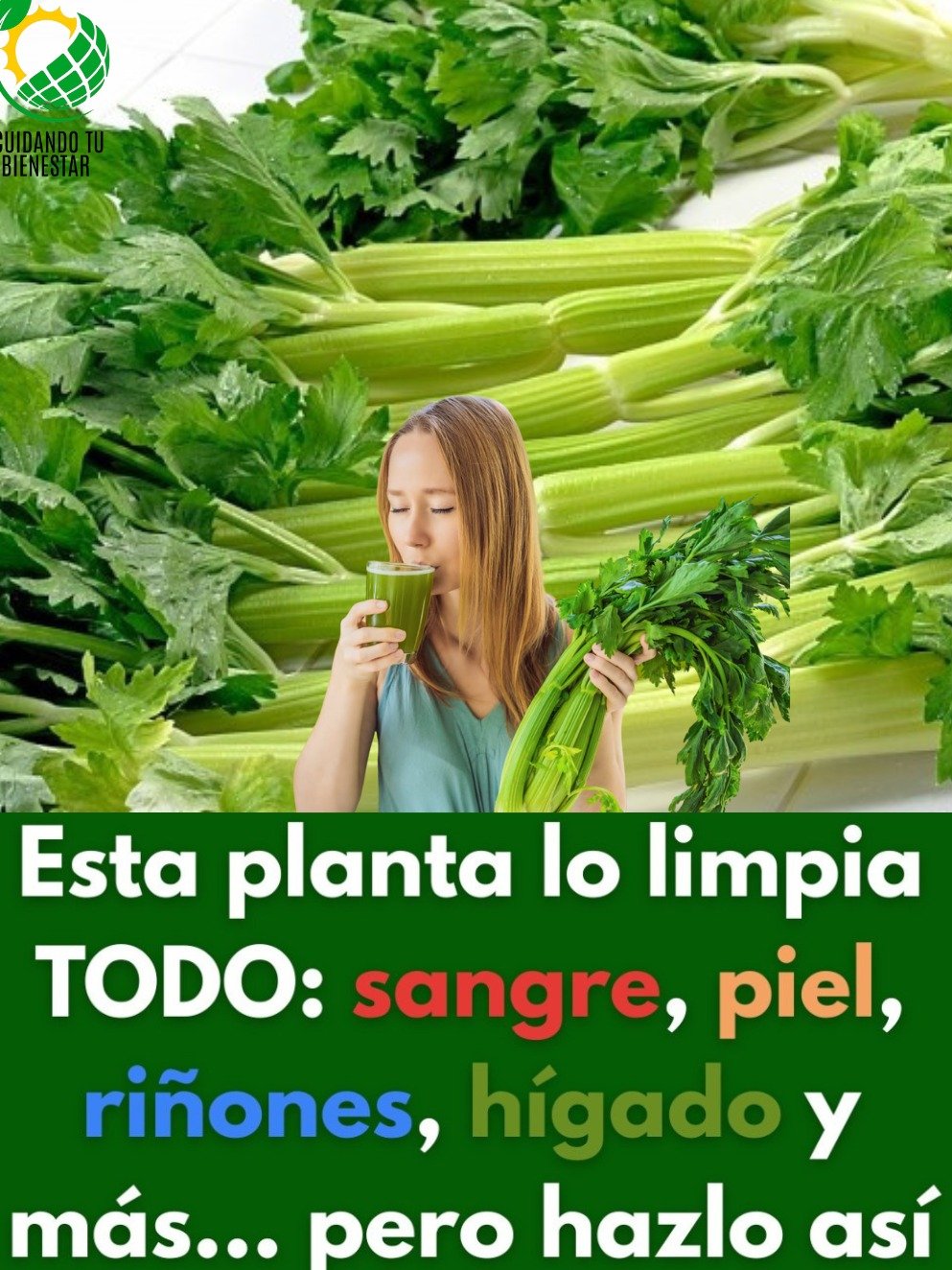¡El Secreto que Nadie Te Cuenta! Este Jugo de Apio Revolucionará Tus Riñones, Hígado y Pulmones en Días
