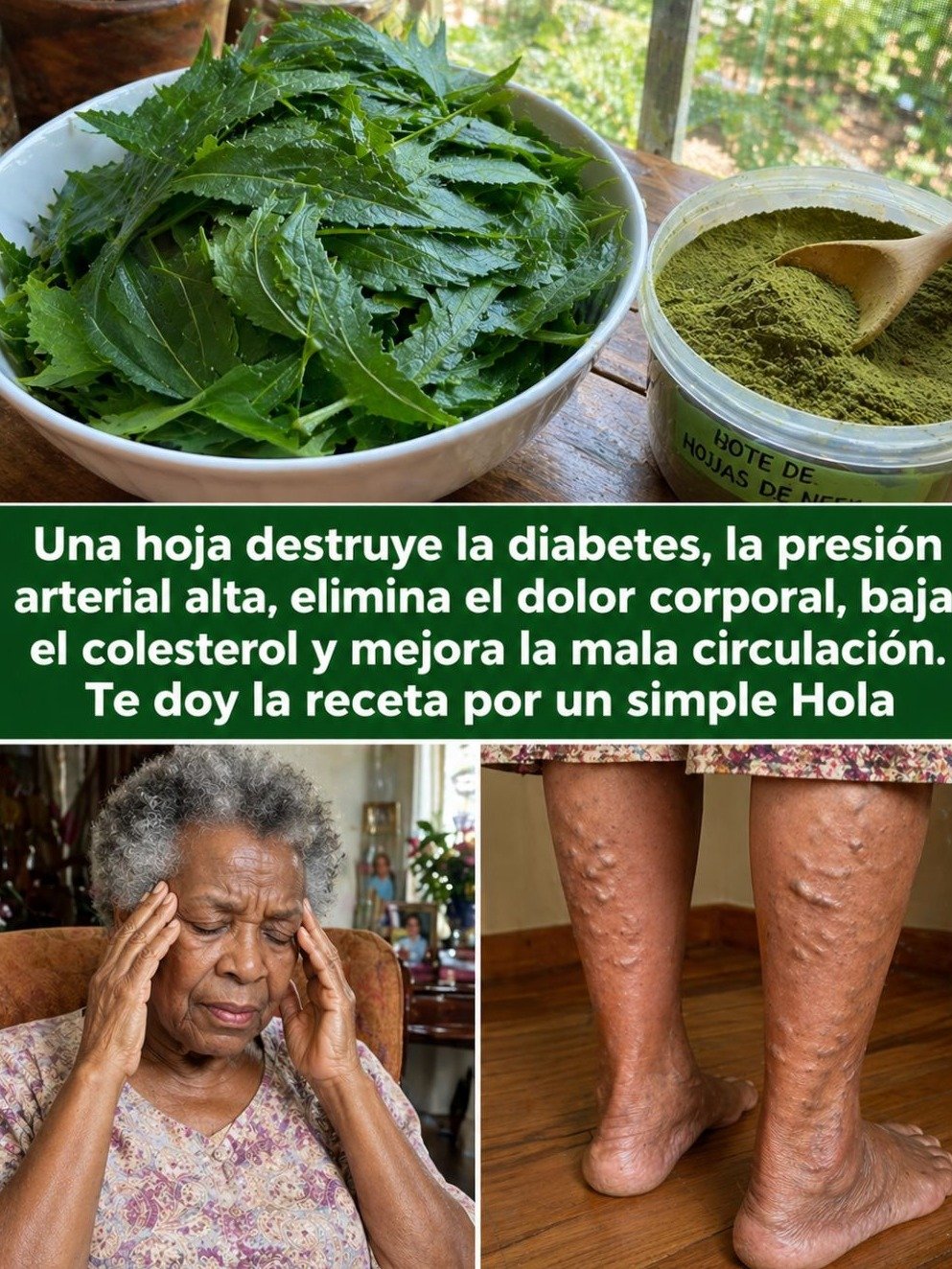 Descubre la 'Hoja Milagrosa': El Poder Oculto de la Naturaleza que Podría Transformar Tu Salud para Siempre (¡No te lo Pierdas!)