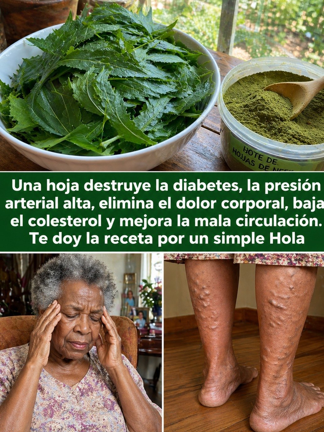 ¡El Secreto Olvidado de la Naturaleza! Esta Hoja Elimina la Diabetes, Baja tu Presión y Acaba con el Dolor Corporal. ¿La Conoces?