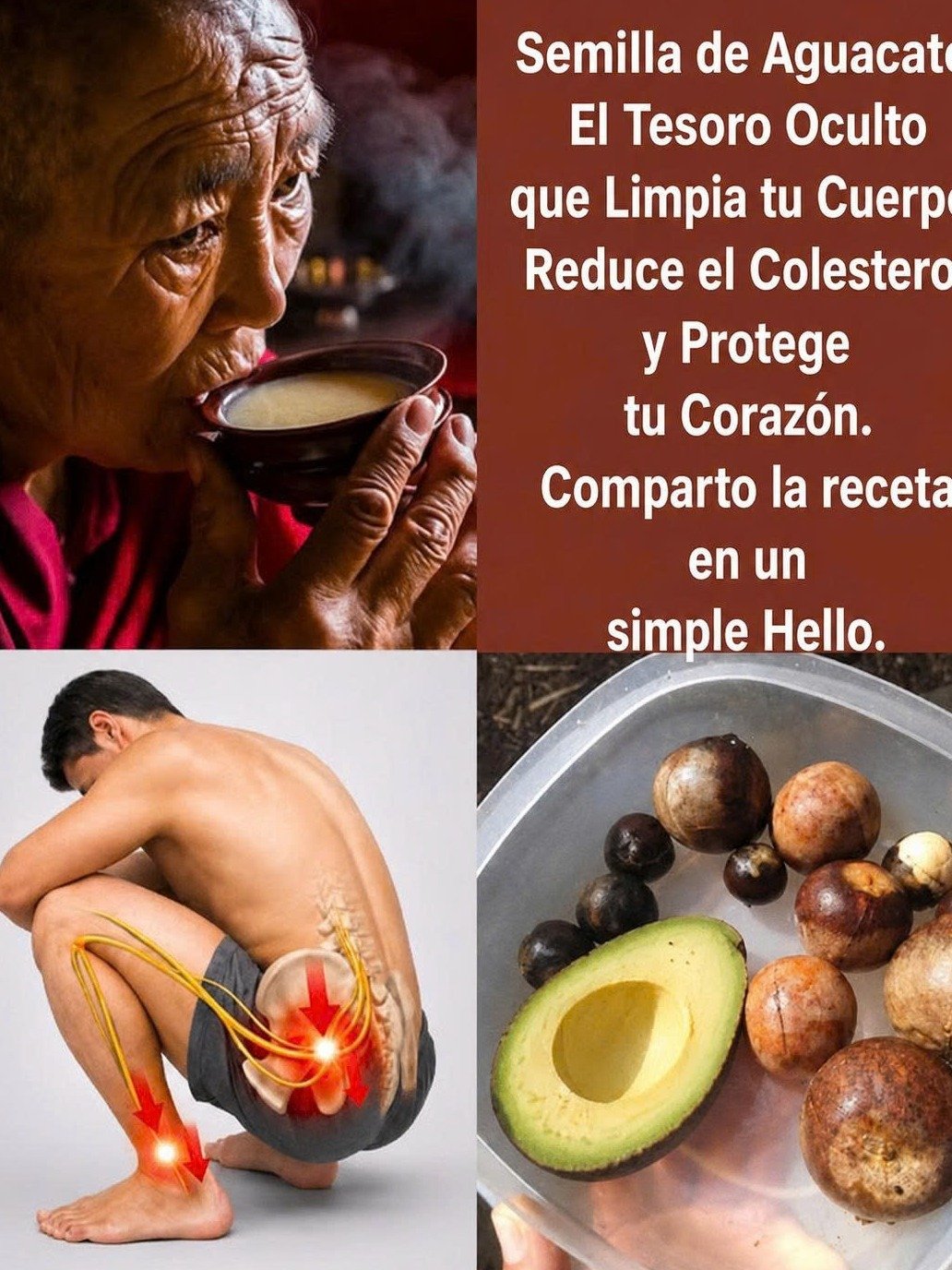 El Secreto Mejor Guardado de la Naturaleza: Descubre los 7 Poderes Ocultos de las Hojas de Aguacate que Transformarán Tu Salud Hoy Mismo