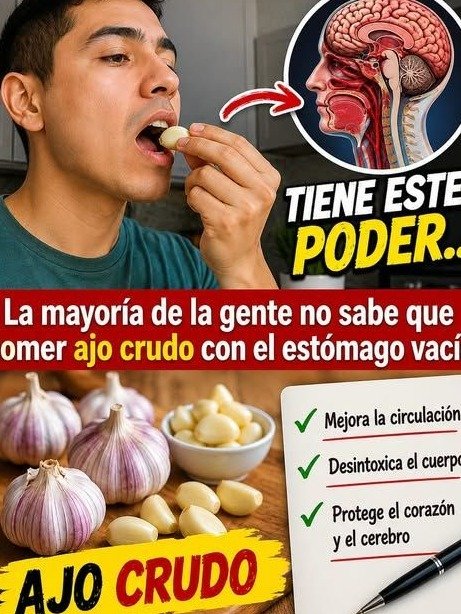 El Hábito Secreto del Ajo Crudo en Ayunas: ¿Beneficio o Riesgo Oculto para Mayores de 60? ¡Lo que NADIE te ha Dicho!