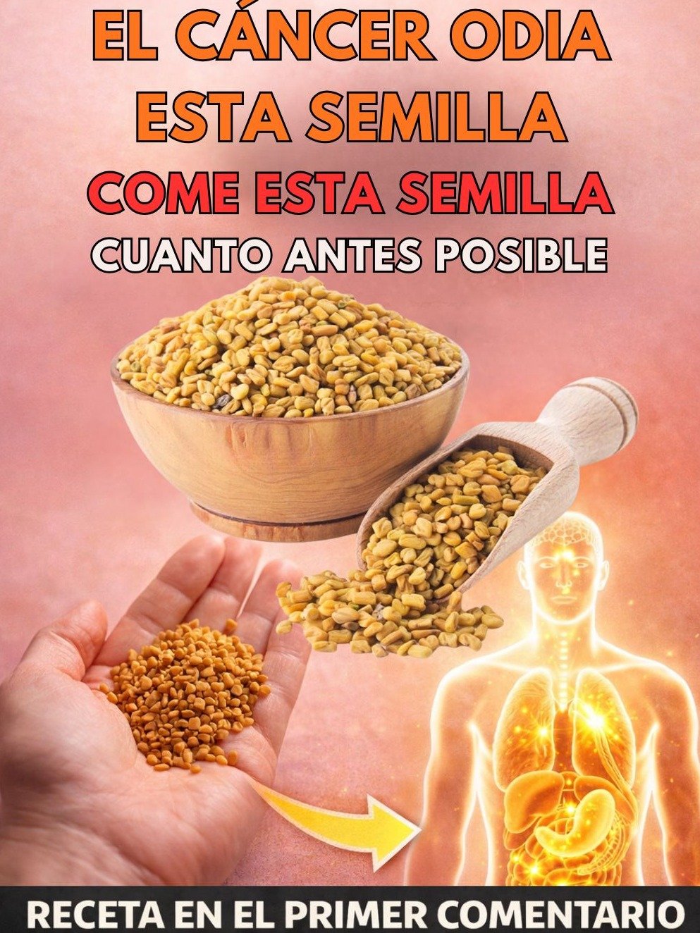 ¡Impactante! El Secreto de las 6 Semillas con el Poder ANTIOXIDANTE MÁS Brutal para Transformar Tu Salud (¡No te lo pierdas!)