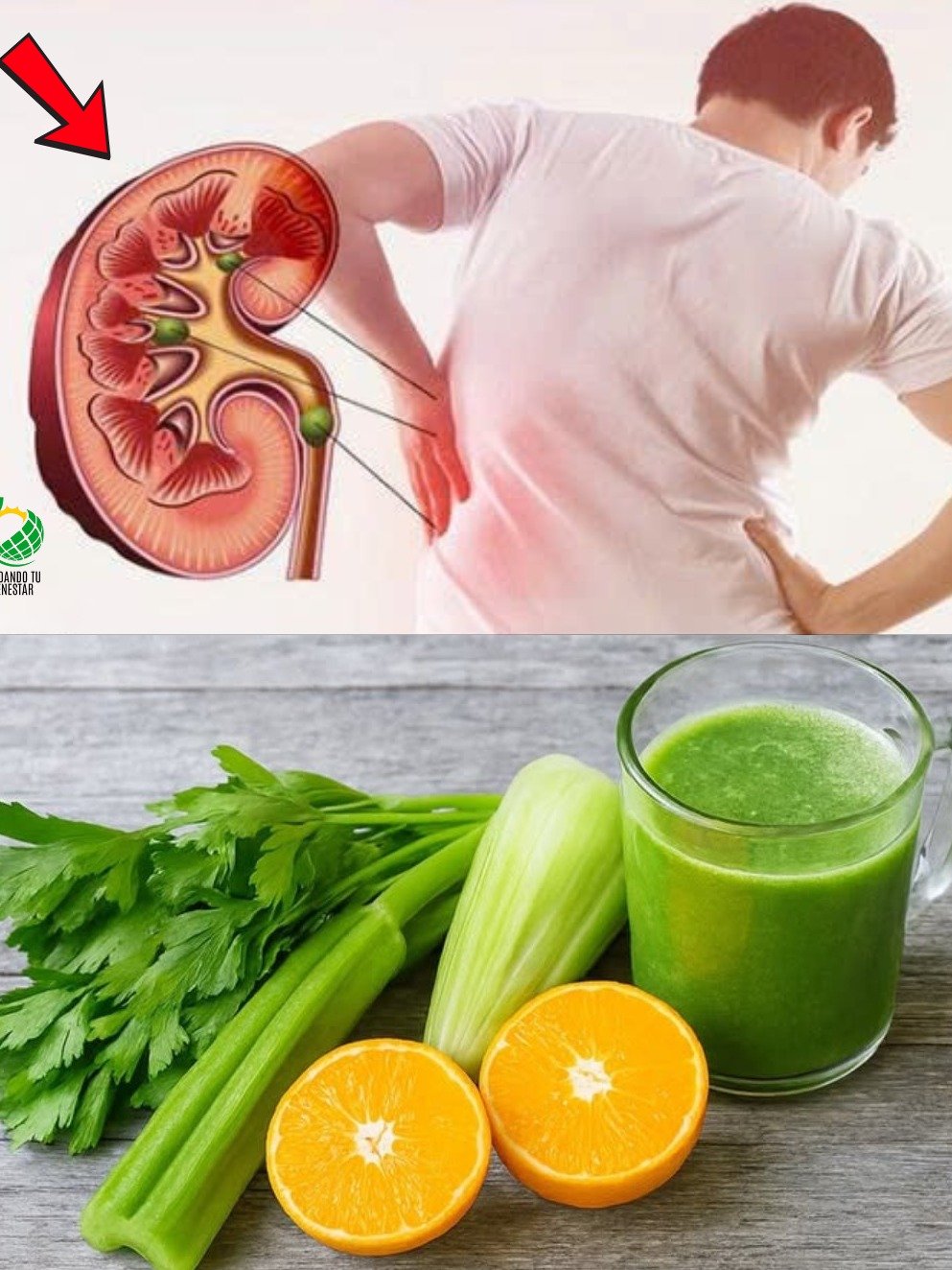 ¡No Vas a Creer lo Fácil que Es! Este Jugo Viral de Apio y Naranja Limpia tus Riñones, Hígado y Pulmones Completamente (¡Tu Salud Te lo Agradecerá!)