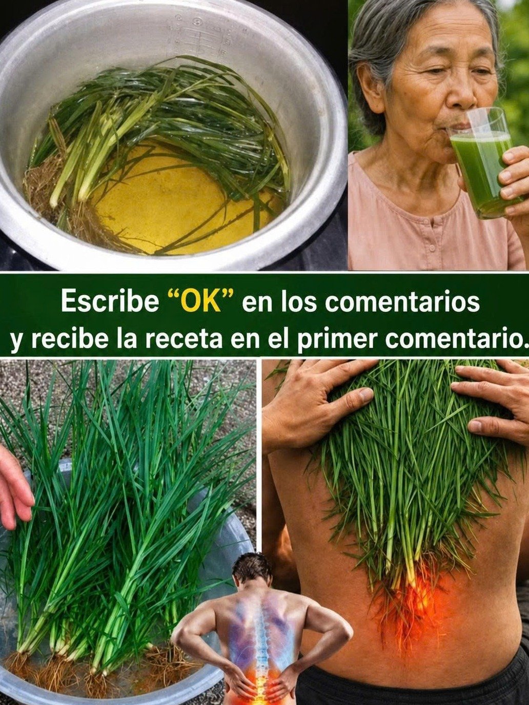 ¡Deja de Ignorarla! 🌿 Los 25 Secretos del Amor de Hortelano (Galium Aparine) que Tu Cuerpo Te Suplicará Conocer