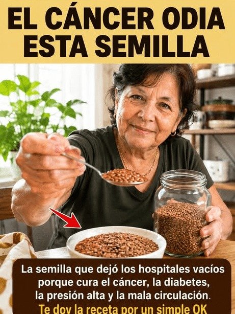¡CUIDADO! El error MORTAL con la linaza que el 90% de los adultos mayores comete (y cómo aprovecharla al MÁXIMO)