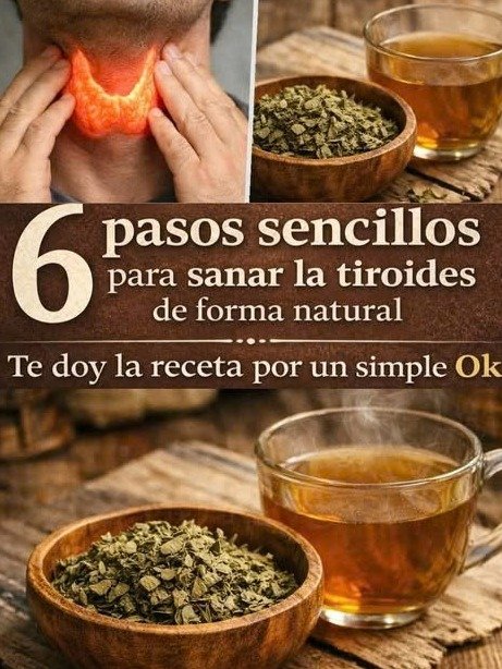 ¿Cansancio Crónico? Tu Tiroides Podría Ser la Clave: ¡Desbloquea Tu Energía y Metabolismo con Estos Secretos Naturales!