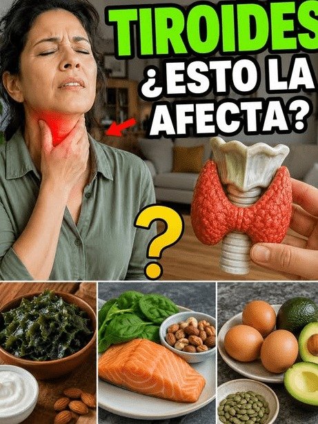 ¡ALERTA! Tu tiroides grita por auxilio: Los 10 nutrientes esenciales que el 90% de los adultos olvida (y cómo un error en tu cocina te está afectando)