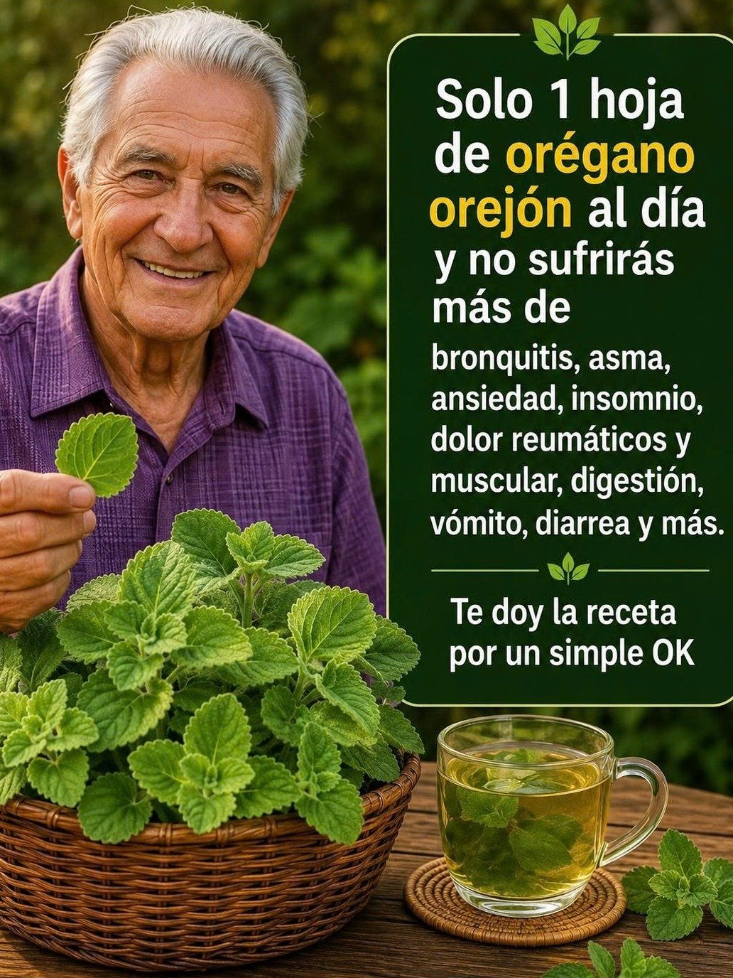 ¡El SECRETO de 1 Hoja que Tu Médico NO Te Contará! Descubre el Poder OCULTO del Orégano y Transforma Tu Salud HOY Mismo
