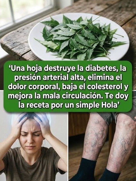 La 'Hoja Milagrosa' que Tienes en Casa: Descubre Sus 7 Poderes Ocultos (y la Única VERDAD que NADIE te ha Contado)