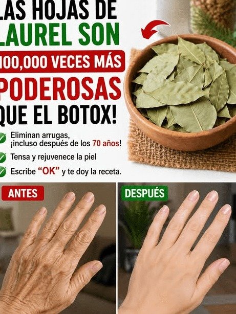 ¡ALERTA EN MÉXICO! Miles usan laurel para su piel, pero NADIE te cuenta este RIESGO OCULTO (y el error que te está envejeciendo)