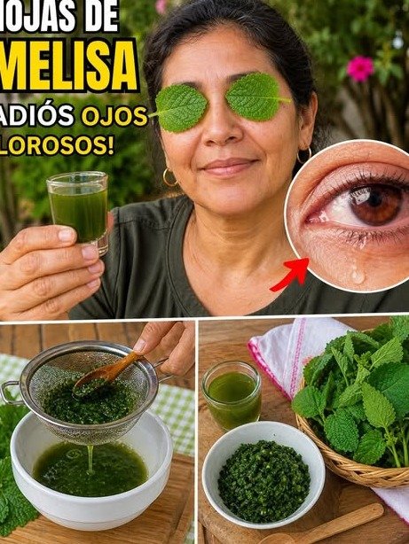 ¡ALERTA URGENTE! El Peligroso 'Remedio Natural' de Poner Hojas en tus Ojos que Podría Dejarte Ciego (La Verdad Impactante)