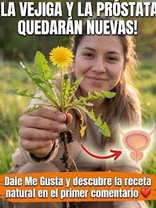 ¡No la arranques! La "mala hierba" de tu patio que podría REVOLUCIONAR tu próstata y vejiga: 9 secretos que la ciencia confirma