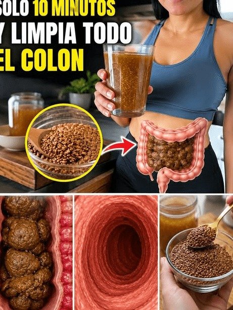 ¡URGENTE! ¿Colon Lento? El Único Hábito 'Secreto' Que Millones de Adultos Mayores en México ESTÁN DESCUBRIENDO para Eliminar la Pesadez y Sentirse Ligeros OTRA VEZ