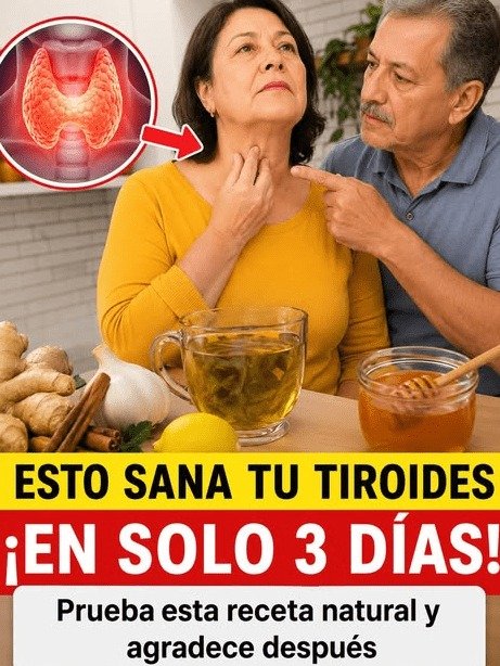 ¡URGENTE! Tu Tiroides Te Está GRITANDO por Ayuda: El Error Nocturno Que Nadie Te Cuenta y Te Roba la Energía
