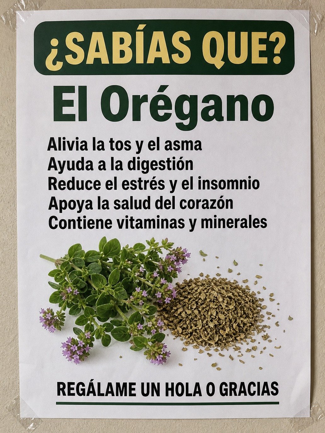 ¡URGENTE! Millones Mayores de 50 Están Recuperando Su Visión con ESTA Planta: ¿El ADIÓS Definitivo a las Cataratas y Gafas?