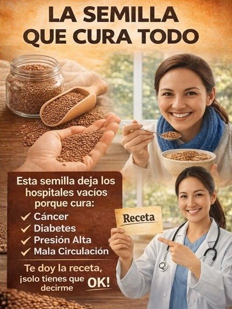 ¡Alerta Salud! 6 Semillas que la Ciencia Confirma para Proteger tu Cuerpo (El Secreto que Debes Conocer YA)