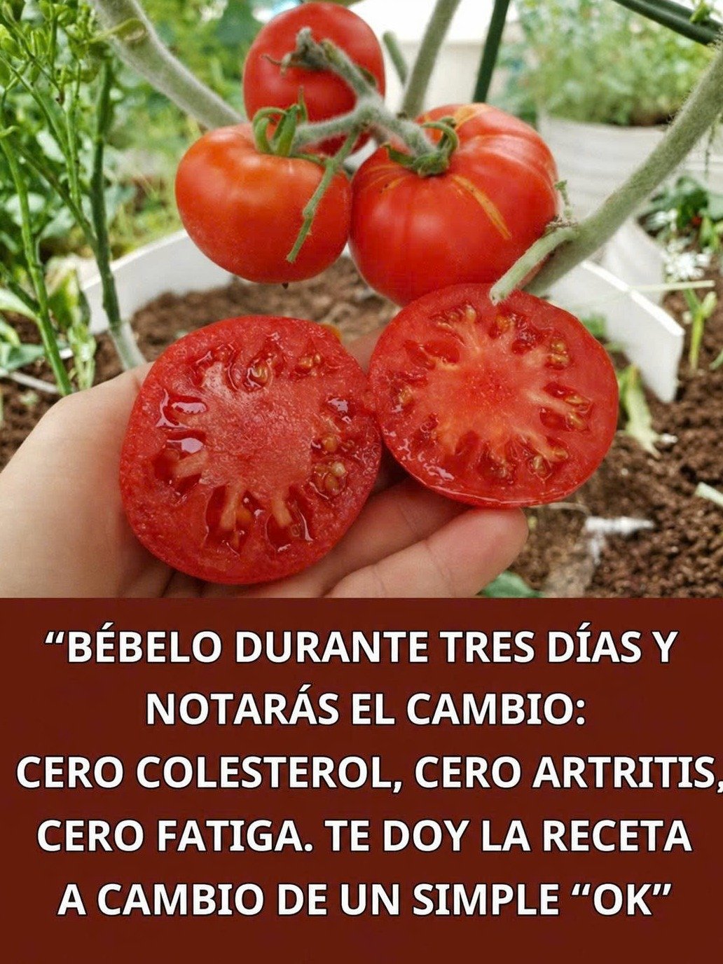 ¡El Secreto Revelado! La Bebida Natural que Tu Corazón ANHELA para Combatir el Colesterol y la Inflamación (¡No te lo Pierdas!)