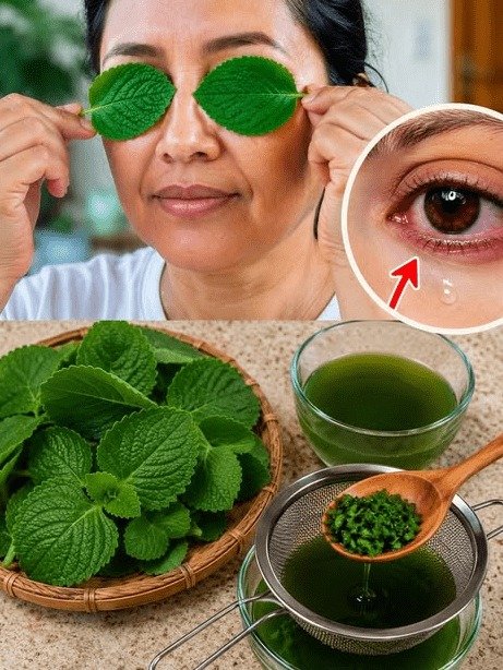 ¡ALERTA! ¿Usas Menta para tus Ojos? La Verdad IMPACTANTE que los Adultos Mayores en México DEBEN Saber (Antes de que sea Tarde)