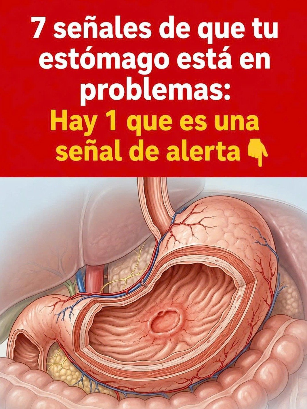 ¡ALERTA! Tu Estómago Te Habla: 7 Señales CRÍTICAS Que Indican Que Algo Anda Muy Mal Y No Puedes Ignorar