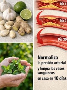 ¡Alerta Roja! Si Tienes Arterias Obstruidas, ESTAS 4 Plantas Pueden Salvar Tu Corazón (¡Recetas que DEBES Probar!)
