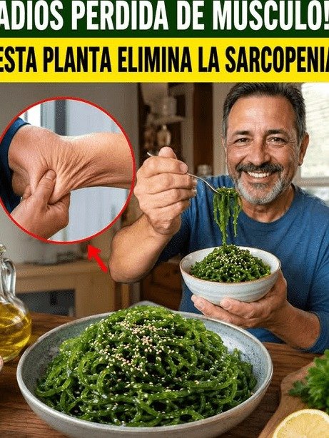 ¡ALERTA! Si tienes más de 60 y tus músculos te FALLAN, estas 11 verduras son tu SALVACIÓN (y una que NADIE come)