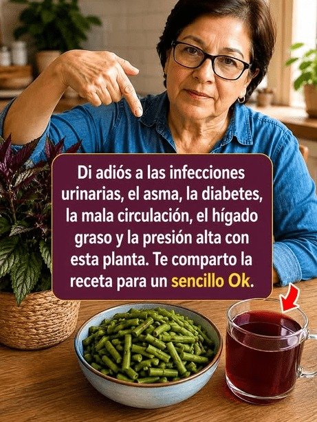 ¡Alerta Saludable! Lo que NINGÚN mexicano mayor de 50 te cuenta sobre la jamaica y los ejotes (y por qué DEBES saberlo YA)