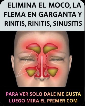 ¡ALERTA! Tus Riñones te Hablan: Las Proteínas SECRETAS que los Salvan y las 5 que DEBES EVITAR AHORA Mismo